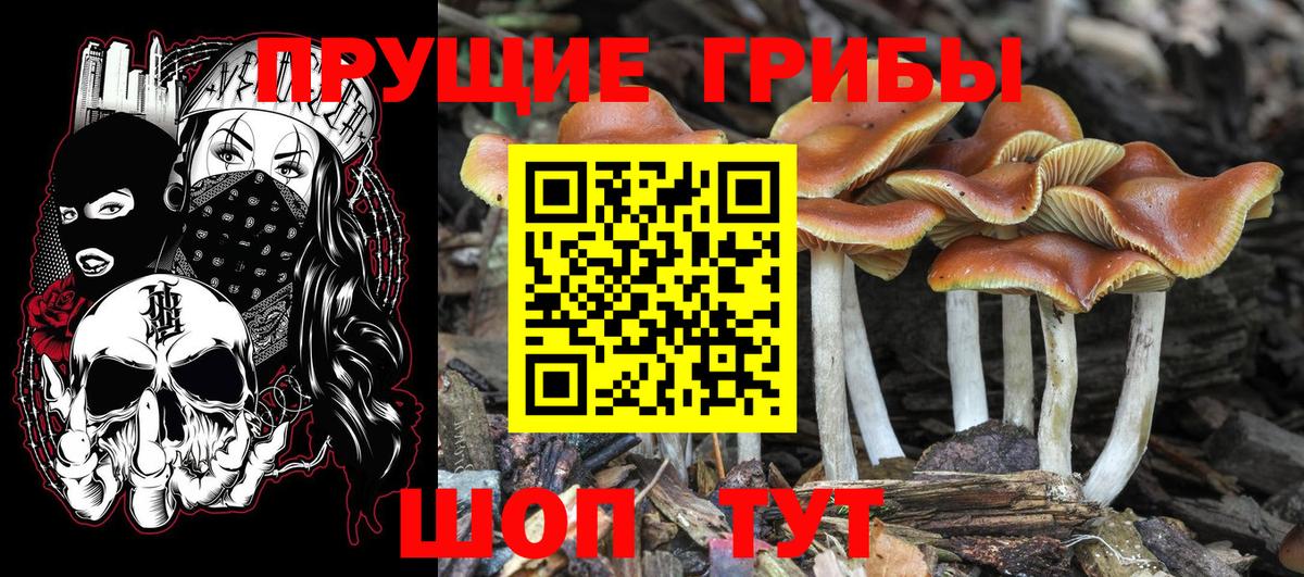 Псилоцибиновые грибы Magic Shrooms Рославль