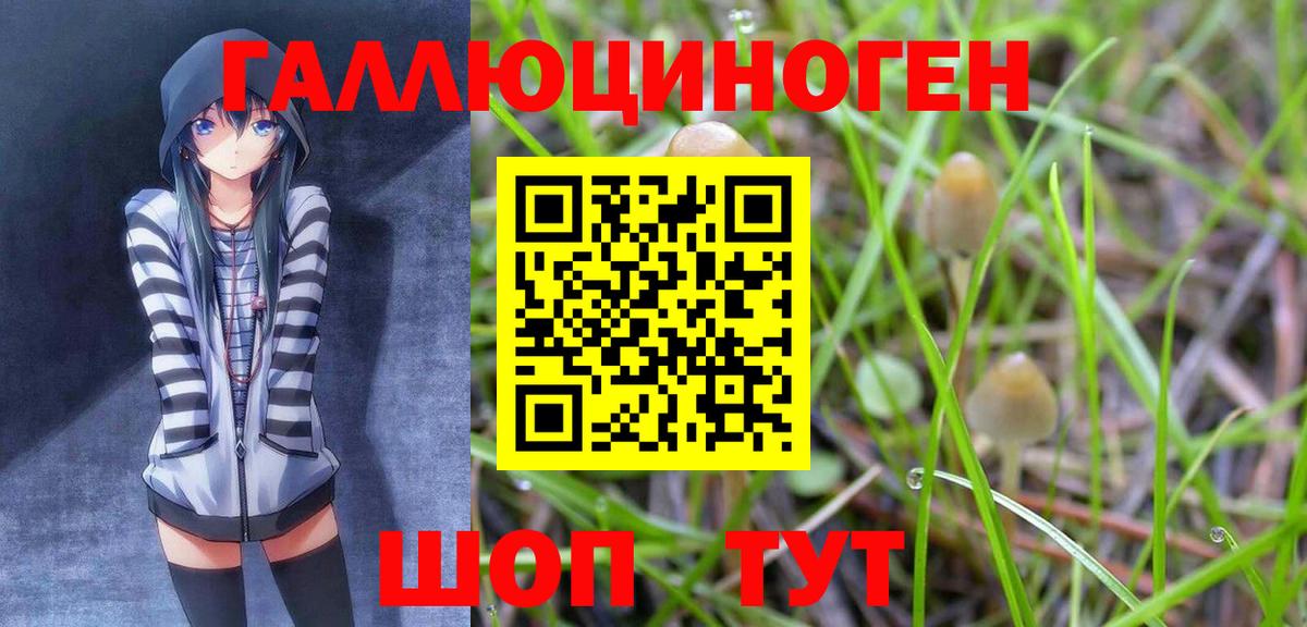 Рославль  Галлюциногенные грибы мицелий  Галлюциногенные грибы прущие грибы  Вход с VPN 